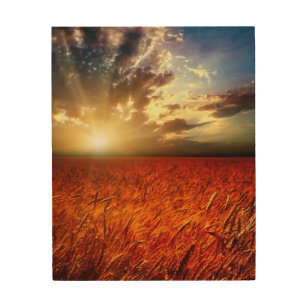 Field of wheat and sunset wood wall art