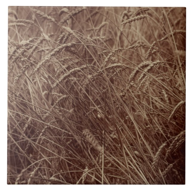 Field of Wheat (by Eugène Atget) Tile (Front)