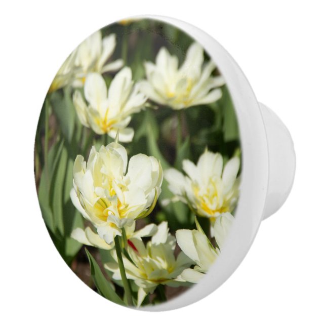 Field of white tulips Photo Ceramic Knob (Right)