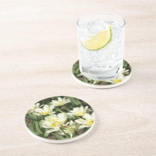 Field of white tulips Photo Coaster