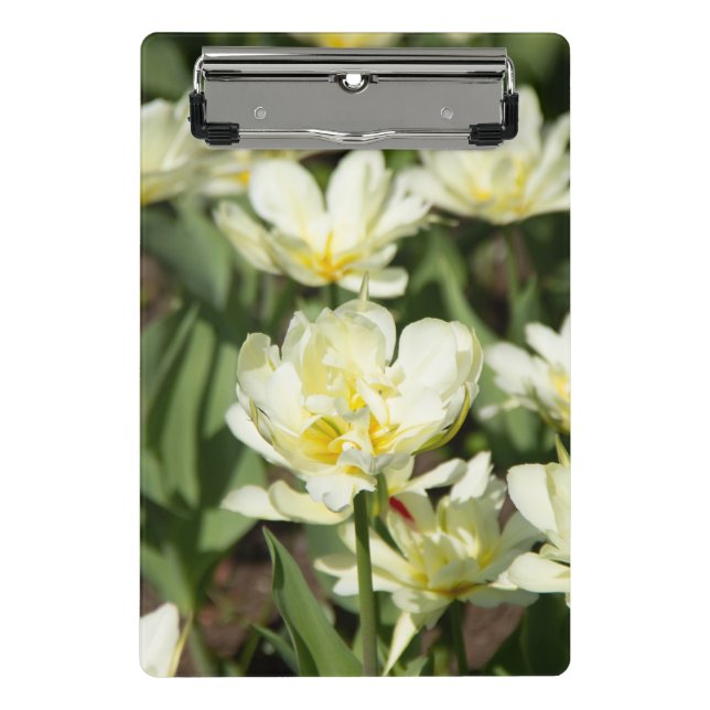 Field of white tulips Photo Mini Clipboard (Front)
