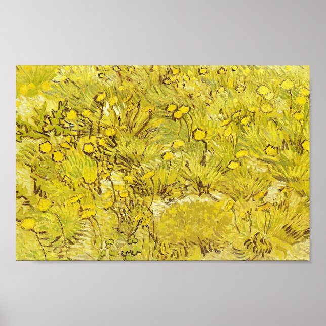 Field of Yellow Flowers, Vincent van Gogh Poster (Front)