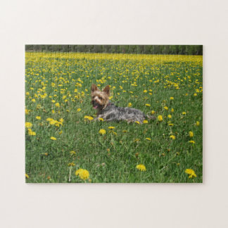 Field of Yorkie Jigsaw Puzzle
