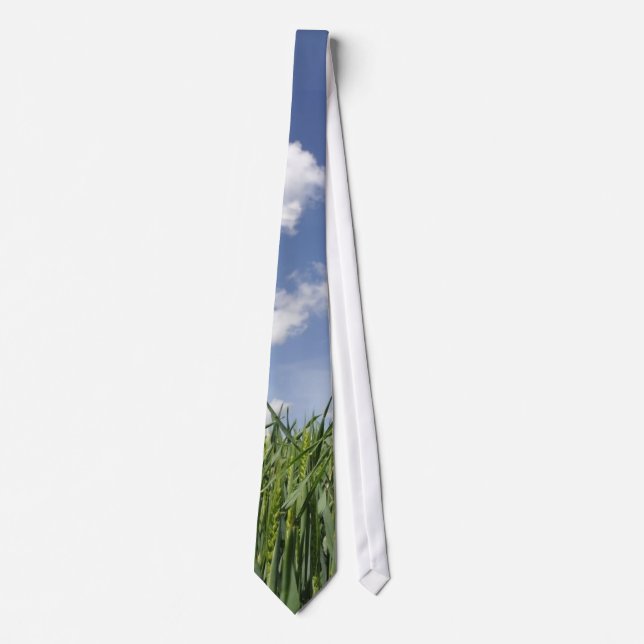 Field of young corn tie (Front)