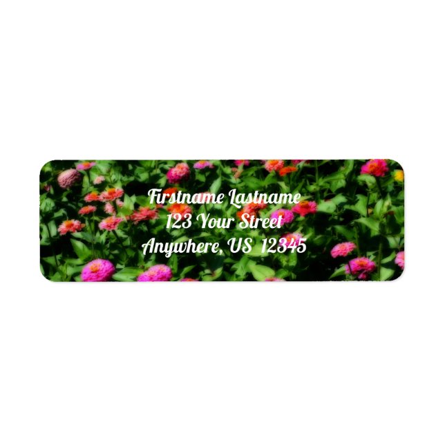 Field Of Zinnias Flower Orton Effect  Address (Front)
