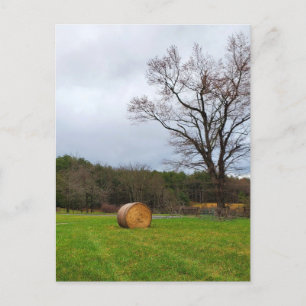 Field on a Cloudy Day Postcard