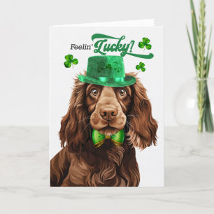 Field Spaniel Dog Feelin' Lucky St Patrick's Day Holiday Card