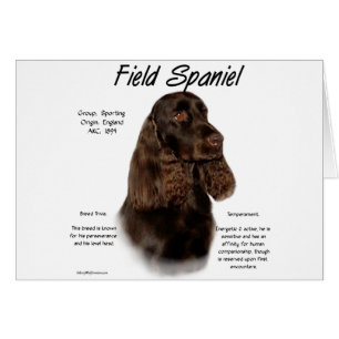 Field Spaniel History Design