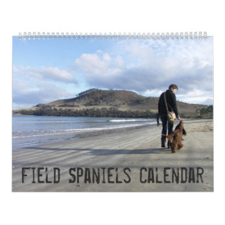 Field Spaniel Wall Calendar