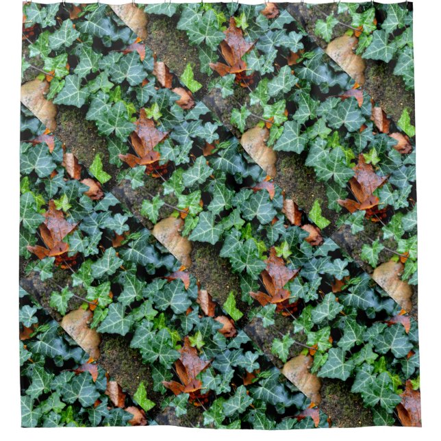 Field Stones, ivy, garden wall, botanical decor  (Front)