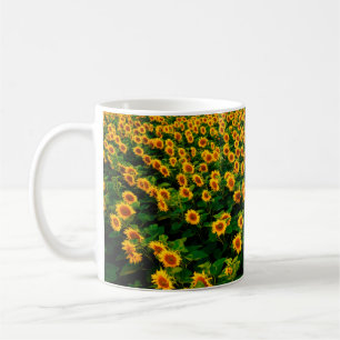 Field with bright yellow sunflowers in sunny day.  coffee mug