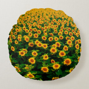 Field with bright yellow sunflowers in sunny day. round pillow