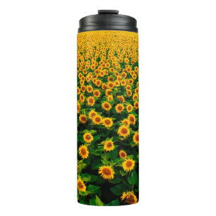 Field with bright yellow sunflowers in sunny day.  thermal tumbler