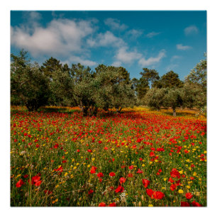 field with flowers and trees poster