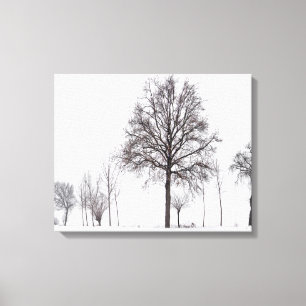 Fields Around Scalenghe   Piedmont, Italy Canvas Print