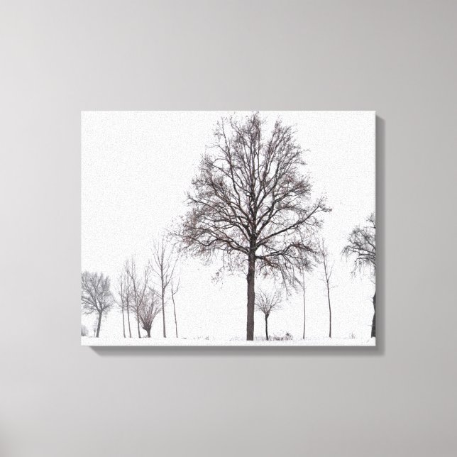 Fields Around Scalenghe | Piedmont, Italy Canvas Print (Front)