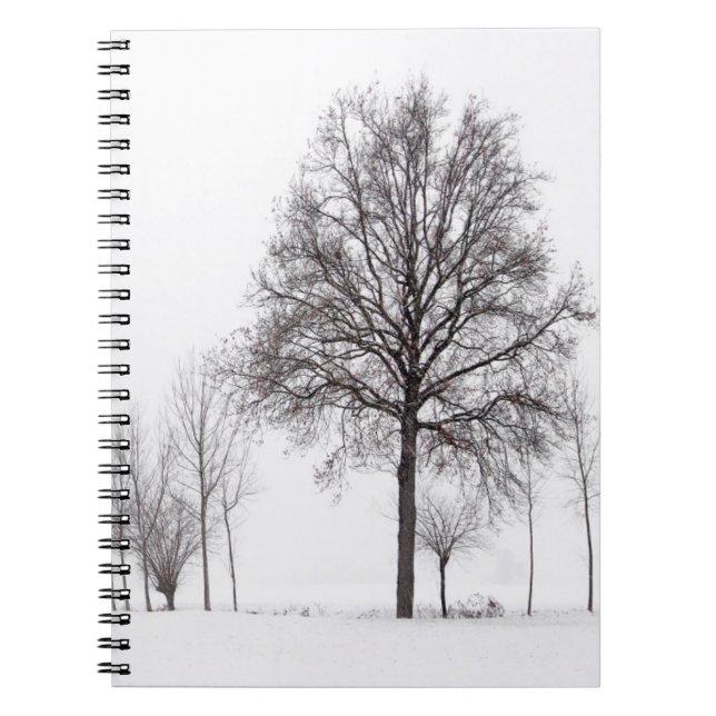 Fields Around Scalenghe | Piedmont, Italy Notebook (Front)