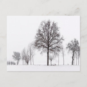 Fields Around Scalenghe   Piedmont, Italy Postcard