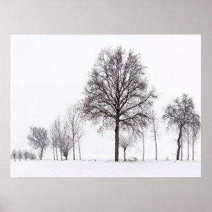 Fields Around Scalenghe   Piedmont, Italy Poster