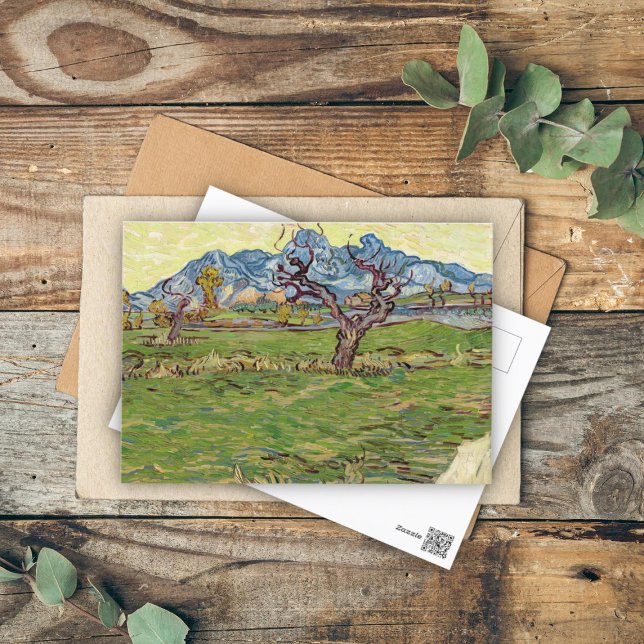 Fields near the Alpilles Vincent van Gogh  Postcard (Creator Uploaded)