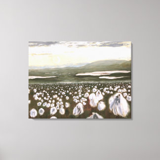 Fields of Arctic Cotton: Canvas Print Standard