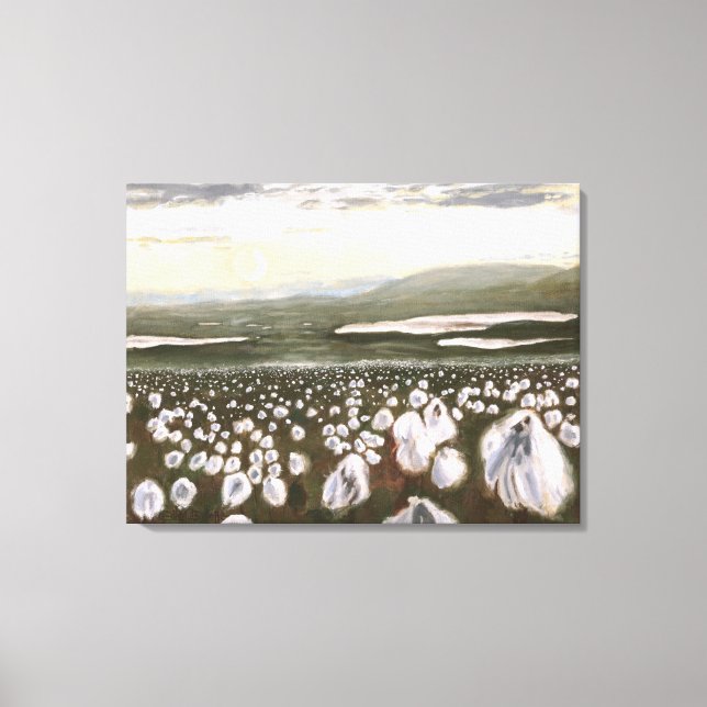 Fields of Arctic Cotton: Canvas Print Standard (Front)