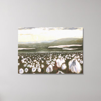 Fields of Arctic Cotton: Canvas Print Uncropped