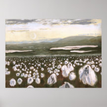 Fields of Arctic Cotton