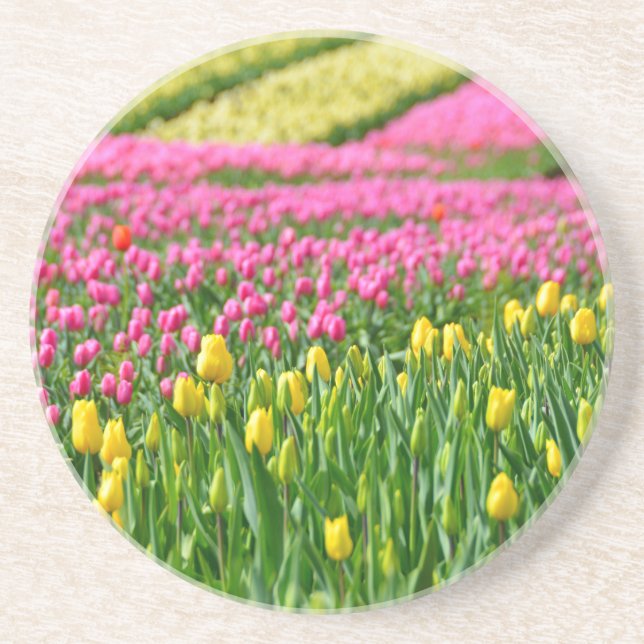 Fields of Colours Coaster (Front)