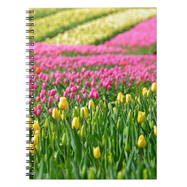 Fields of Colours Notebook (Front)