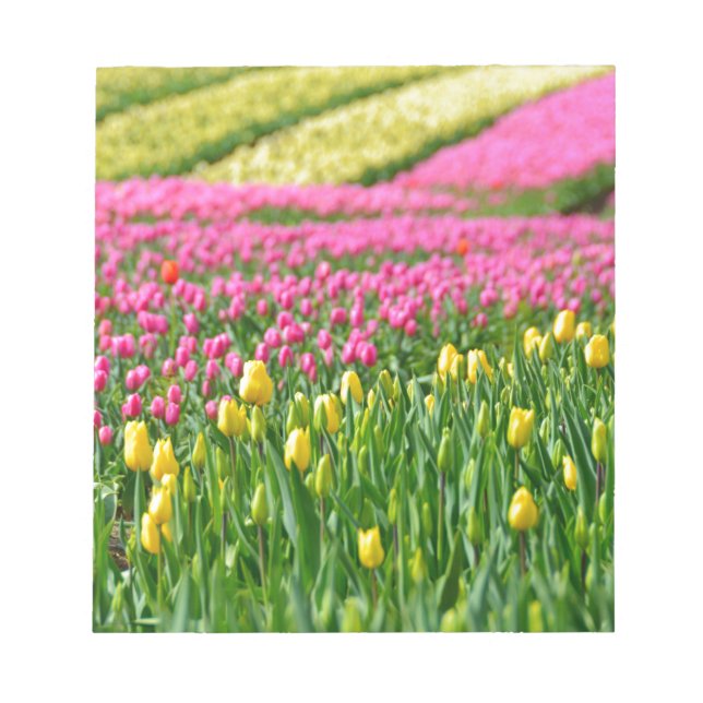 Fields of Colours Notepad (Front)
