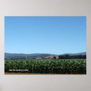 Fields of Corn Poster