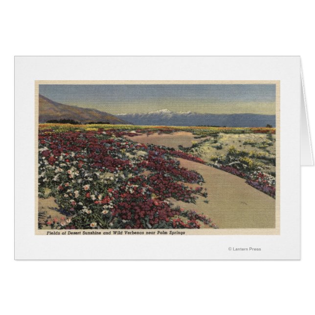 Fields of Desert Sunshine & Wild Verbenas (Front Horizontal)