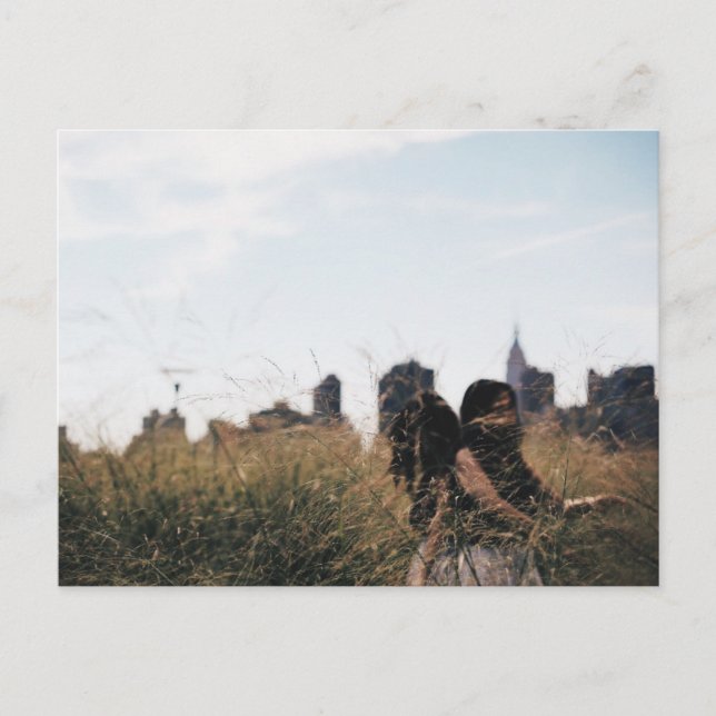 Fields of Gold NYC LIC Nature Portrait Photo Postcard (Front)