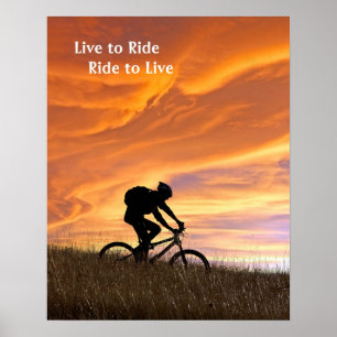 Fields of gold poster