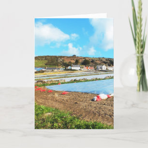 Fields of Jersey Royal potatoes Holiday Card