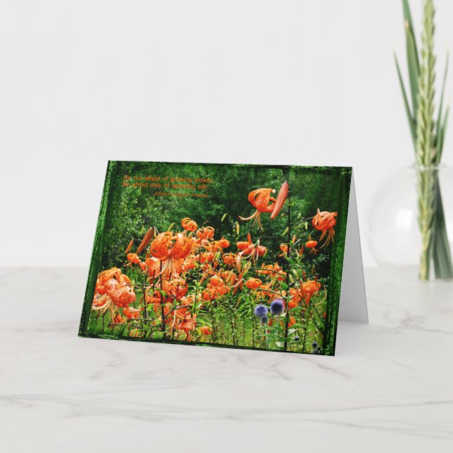 Fields of Lilies Card (Front)