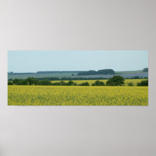 Fields Poster