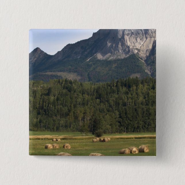 Fields with bailed hay, Alberta, Canada 2 Inch Square Button (Front)