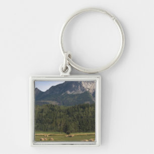 Fields with bailed hay, Alberta, Canada Keychain