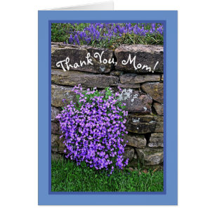 FIER DE MAMAN/FLEURS VIOLETTES CASCADANT SUR UN MU