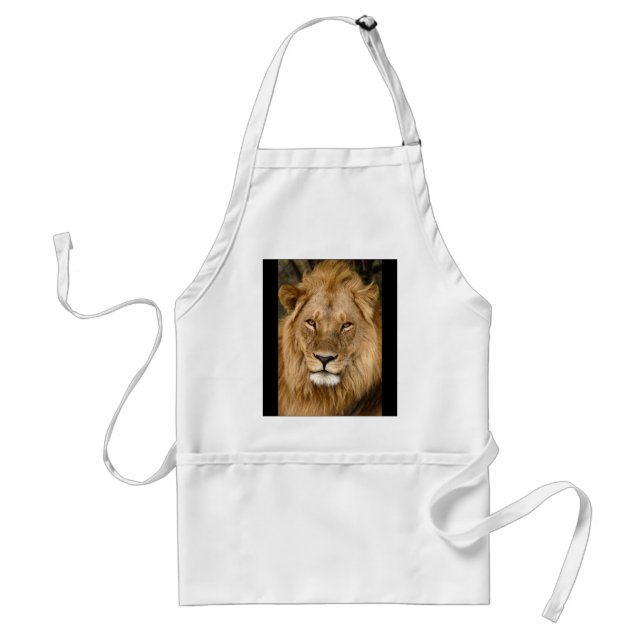 Fier Lion, Botswana, Tablier (Devant)