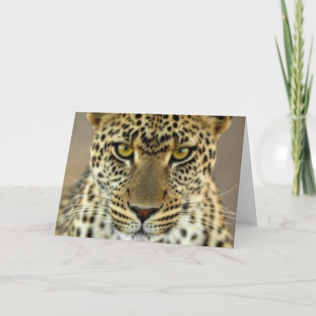 Fierce Leopard Card (Front)