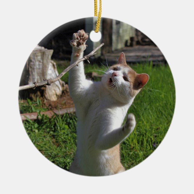 Fierce Predator Ceramic Ornament (Front)