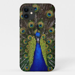 Fière coque iphone de Peacock