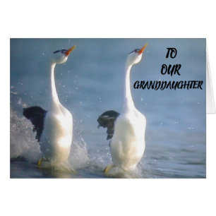 FIERS DE VOUS **GRAND-FILLE** SOUHAITS POUR L'AVEN