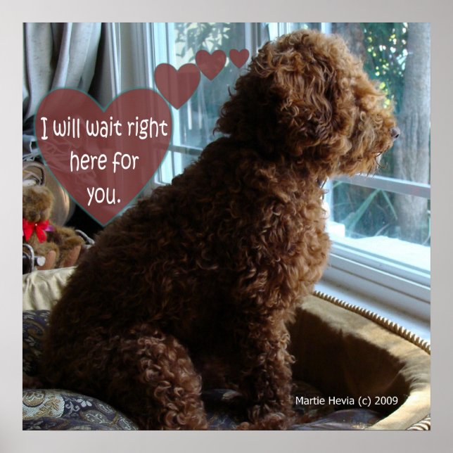 Fiers Poodle - Vous Manquez - Poster (Devant)
