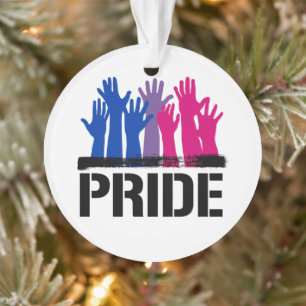 Fierté ensemble bisexuelle