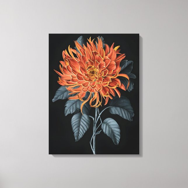 Fiery Elegance: Orange Chrysanthemum Canvas Print (Front)