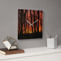 Fiery Forest Sunset